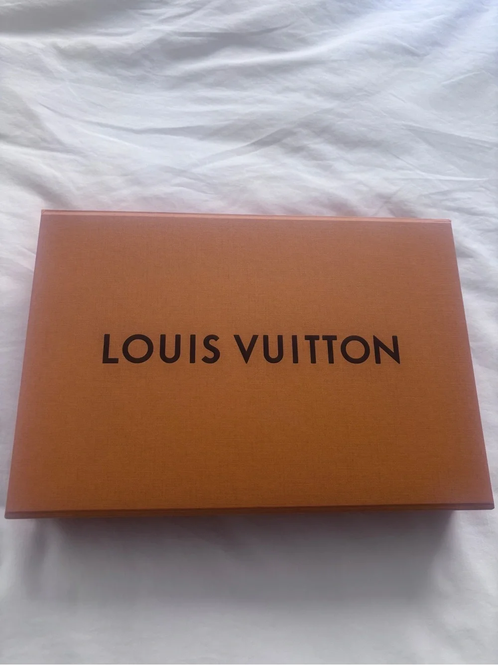 Authentic Louis Vuitton 